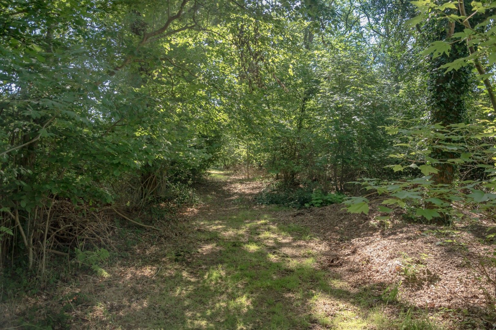 Oosteinde 18, Wapserveen foto-30