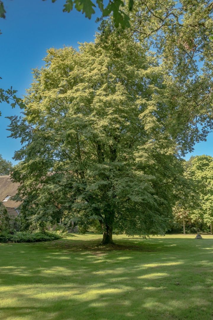 Oosteinde 18, Wapserveen foto-14