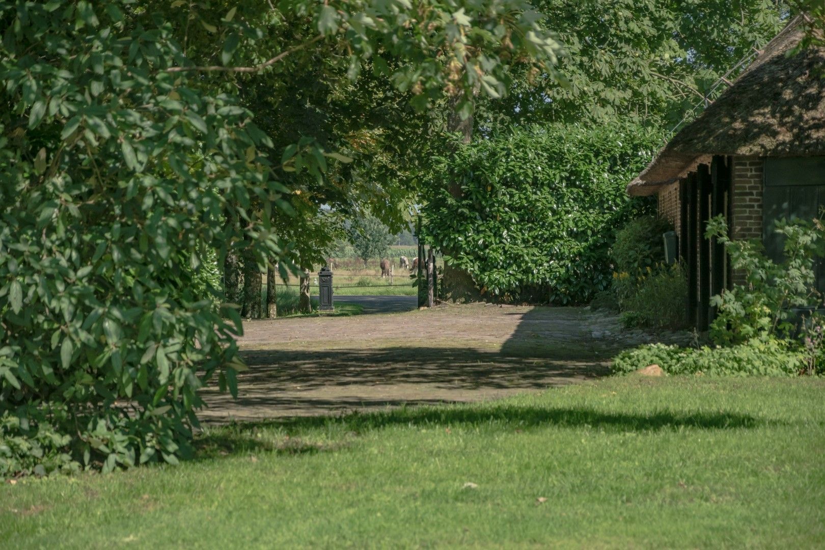 Oosteinde 18, Wapserveen foto-36