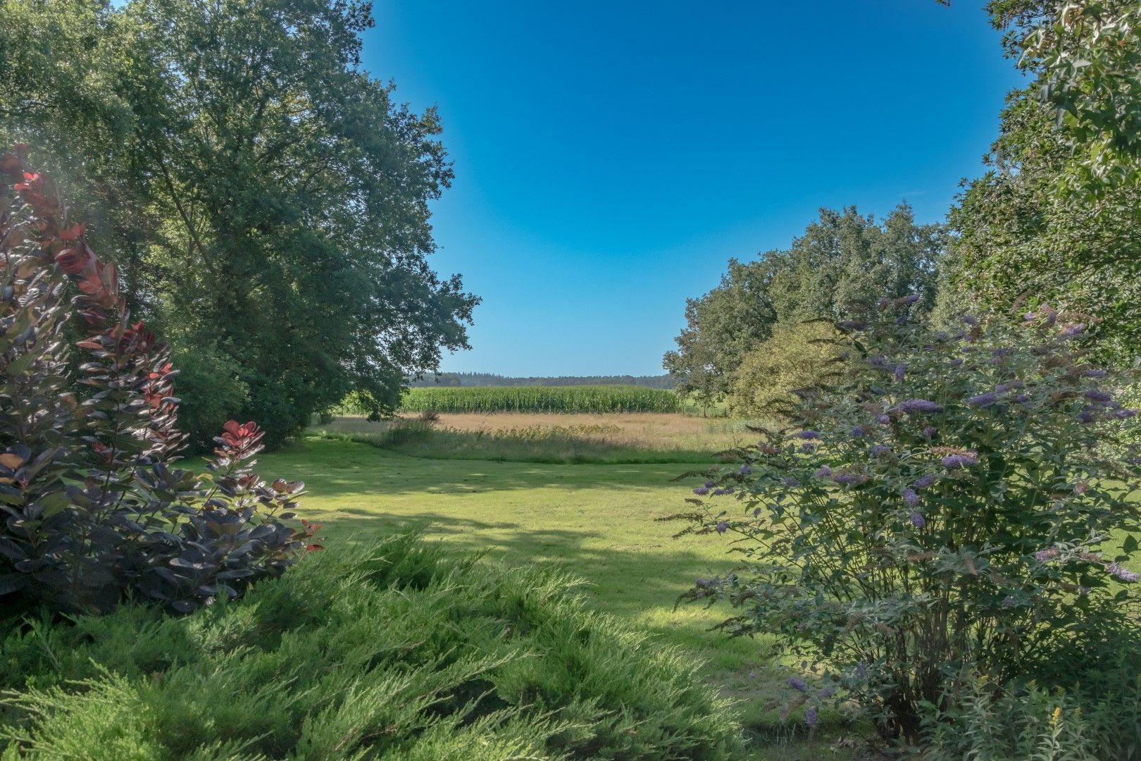 Oosteinde 18, Wapserveen foto-24