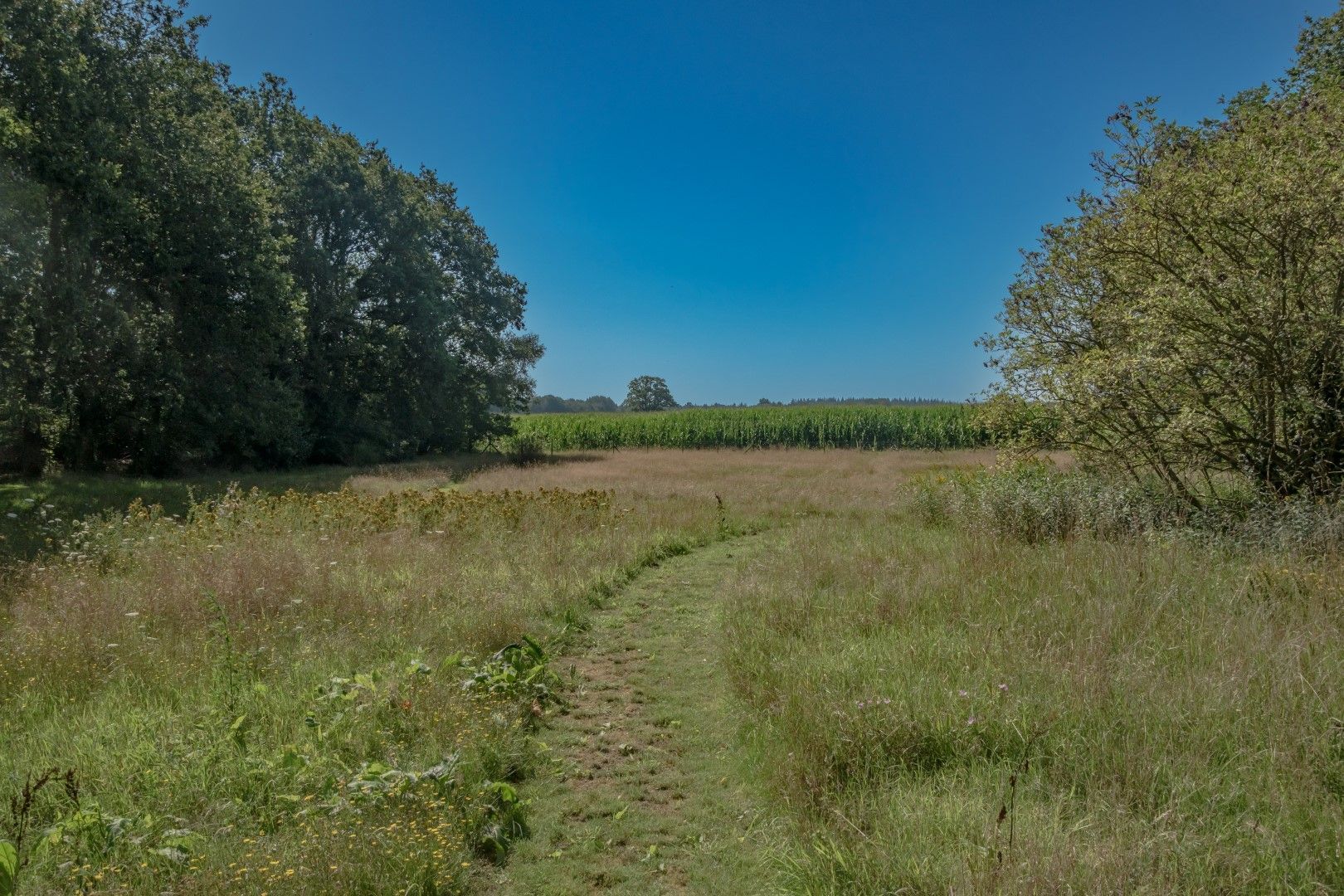 Oosteinde 18, Wapserveen foto-34
