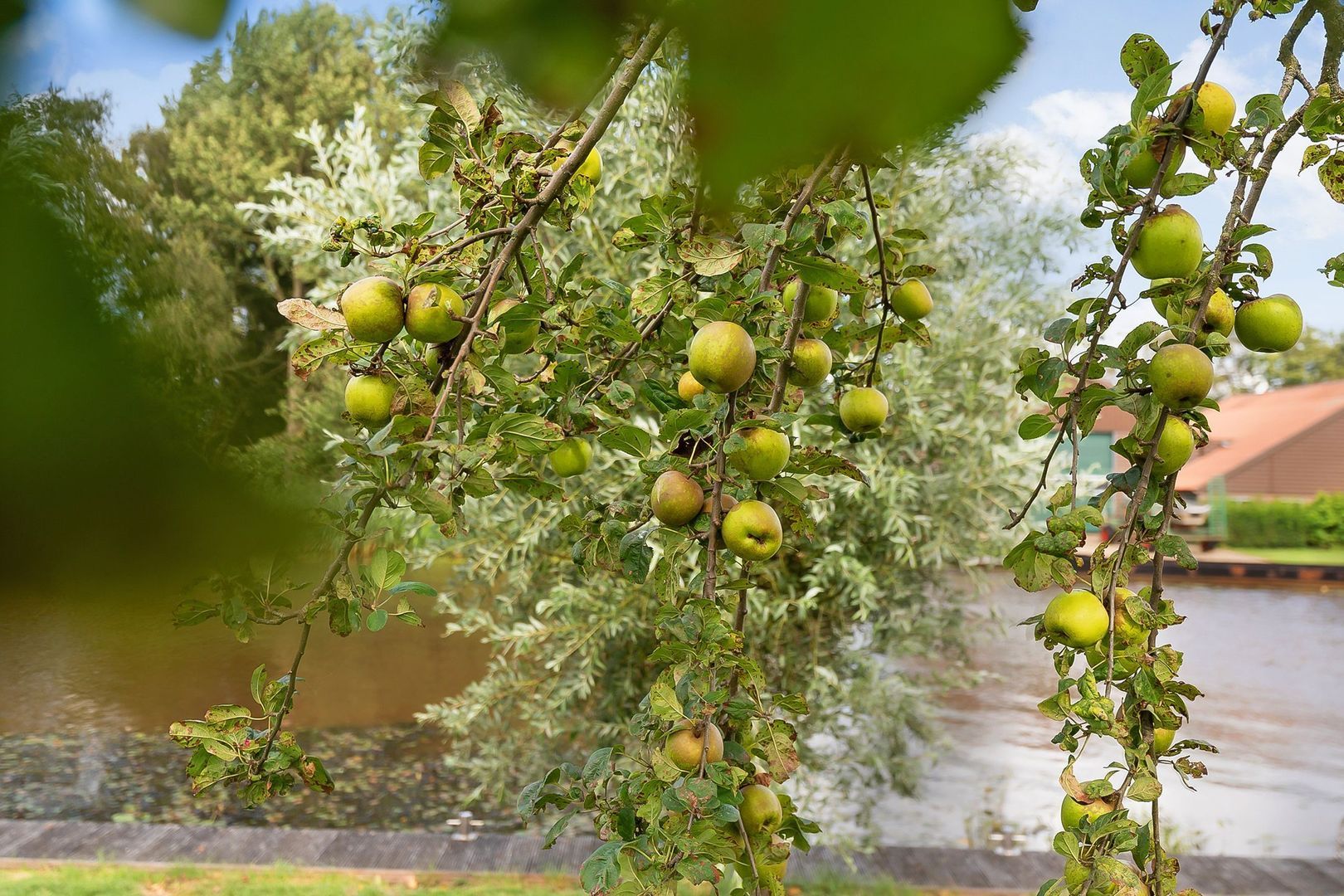 Wetering West 69, Wetering foto-64