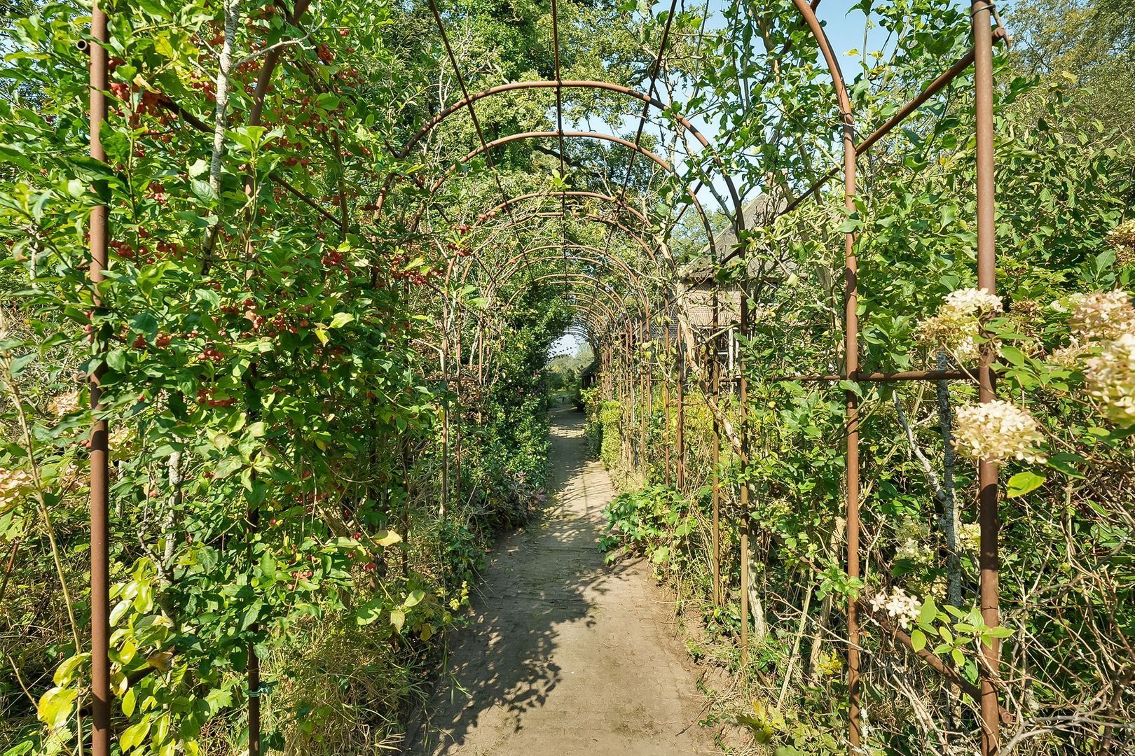 Dwingelerweg 25, Ansen foto-67
