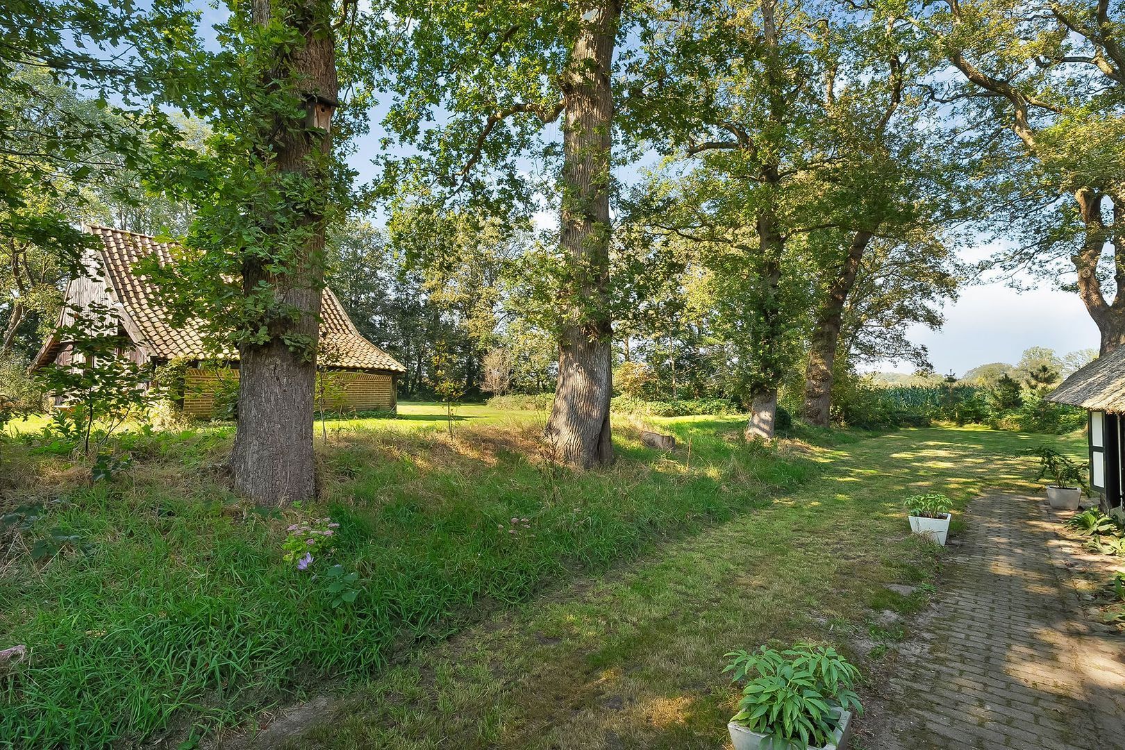 Dwingelerweg 25, Ansen foto-57