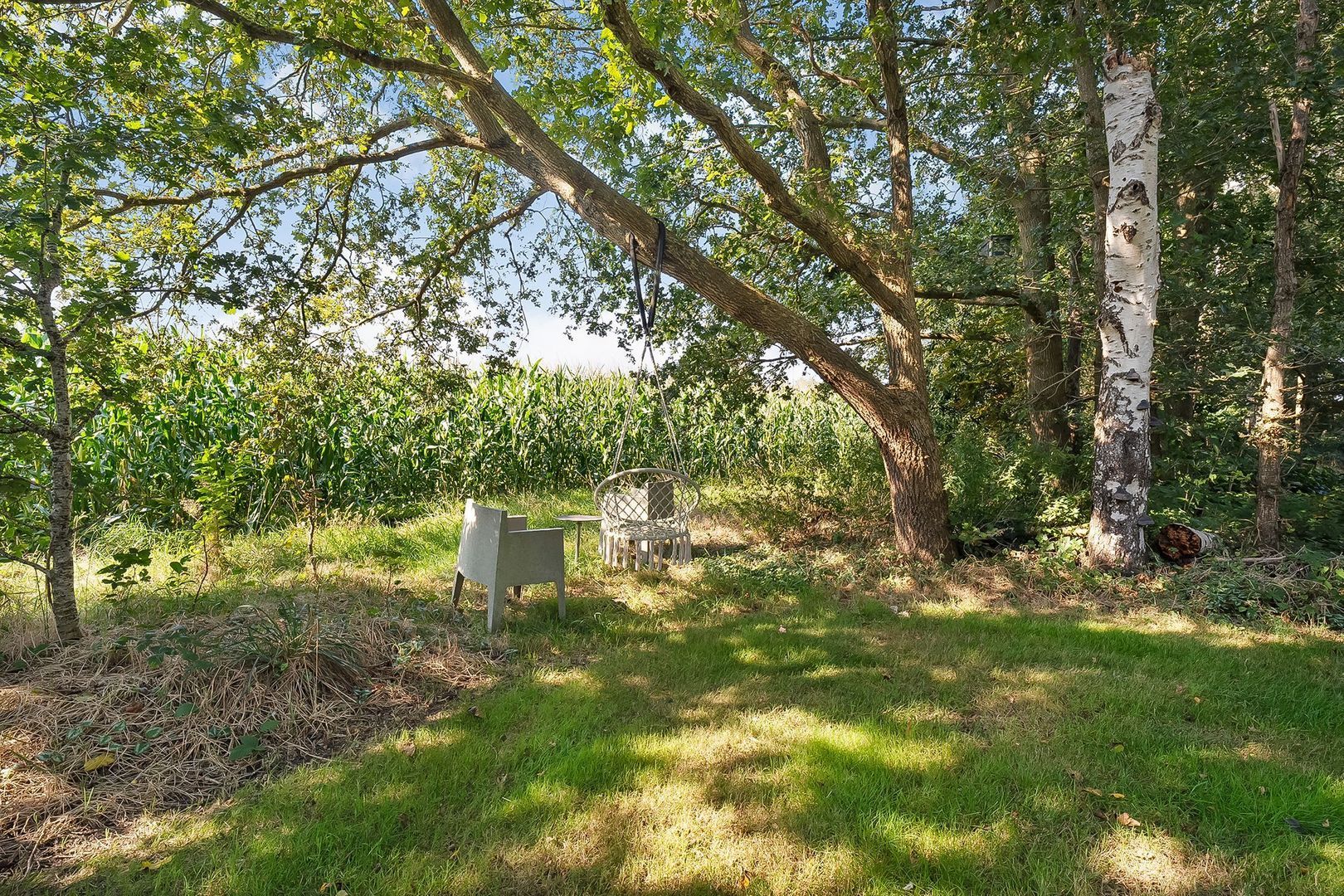 Dwingelerweg 25, Ansen foto-75