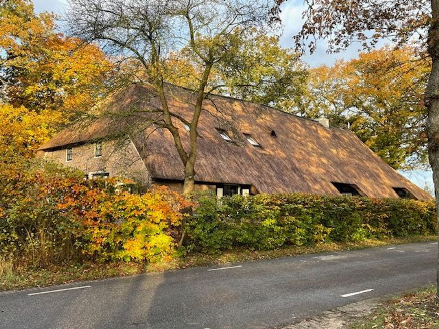 Dwingelerweg 25, Ansen foto-73