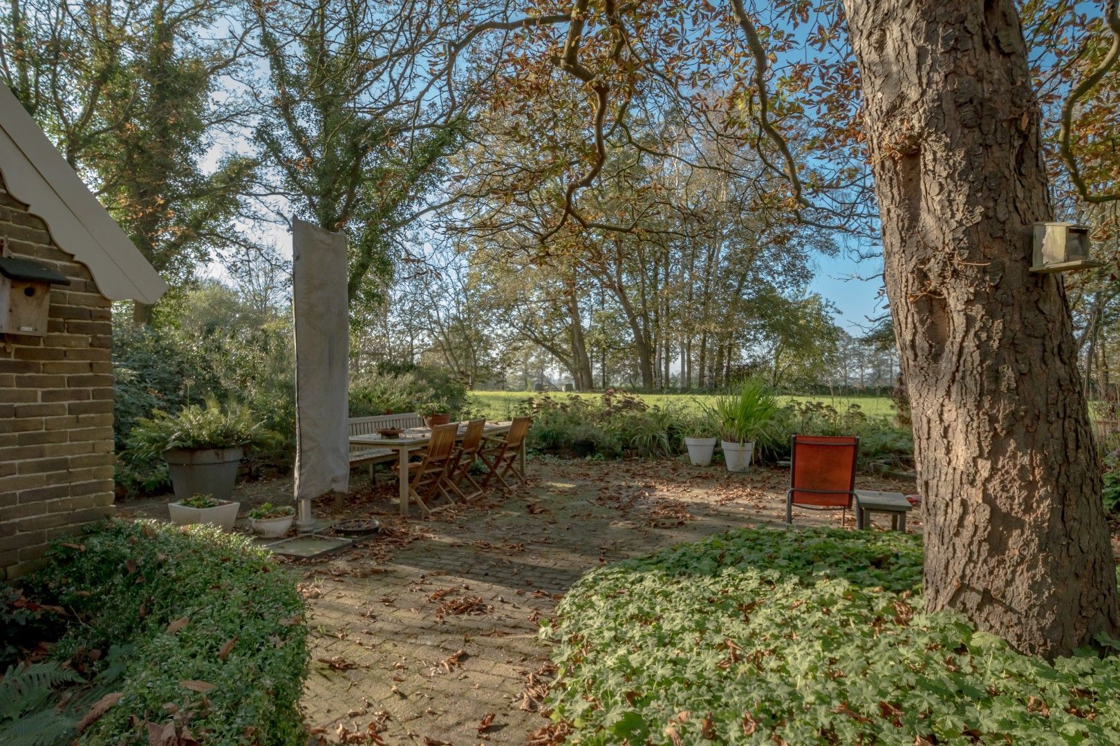 Dwingelerweg 25, Ansen foto-63