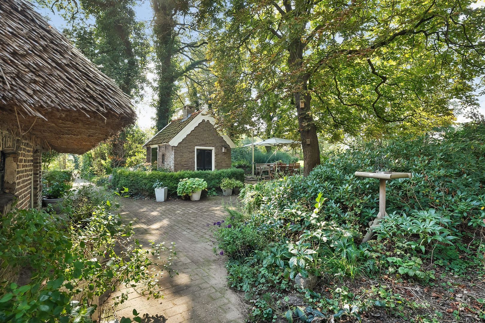 Dwingelerweg 25, Ansen foto-58