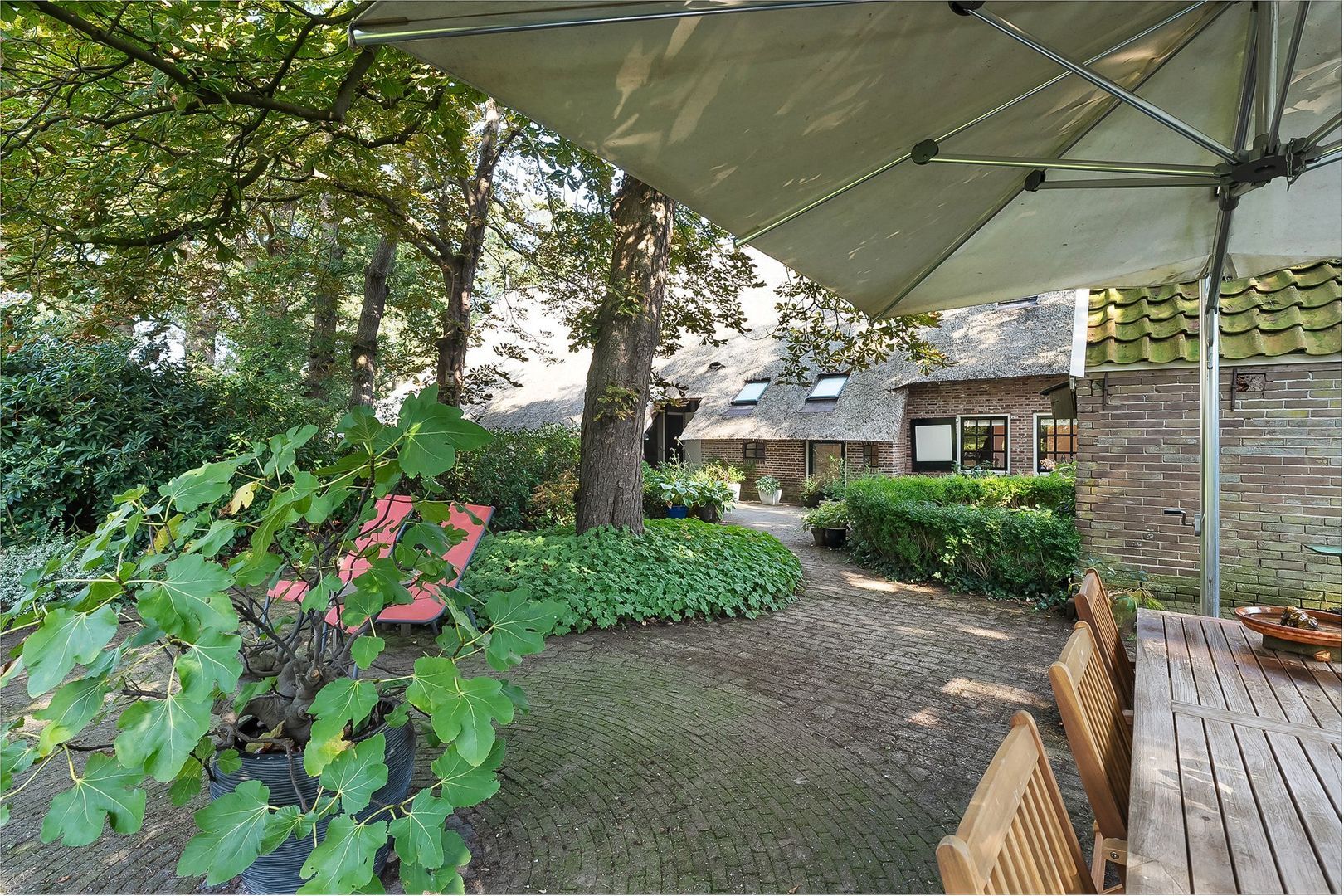 Dwingelerweg 25, Ansen foto-60