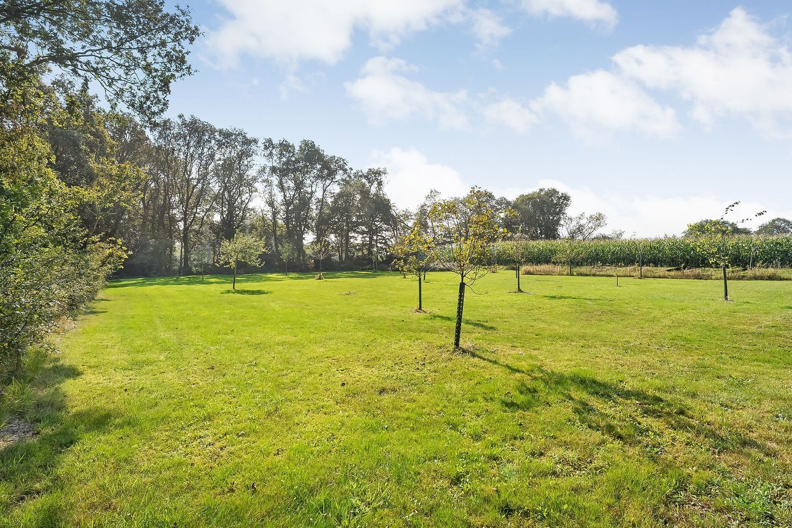 Dwingelerweg 25, Ansen foto-74