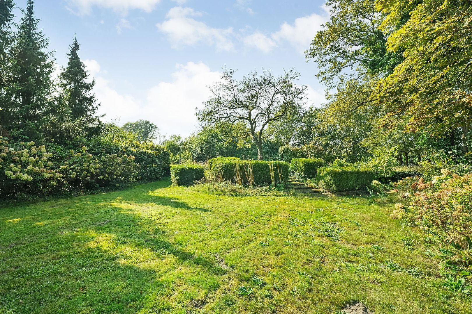 Dwingelerweg 25, Ansen foto-68