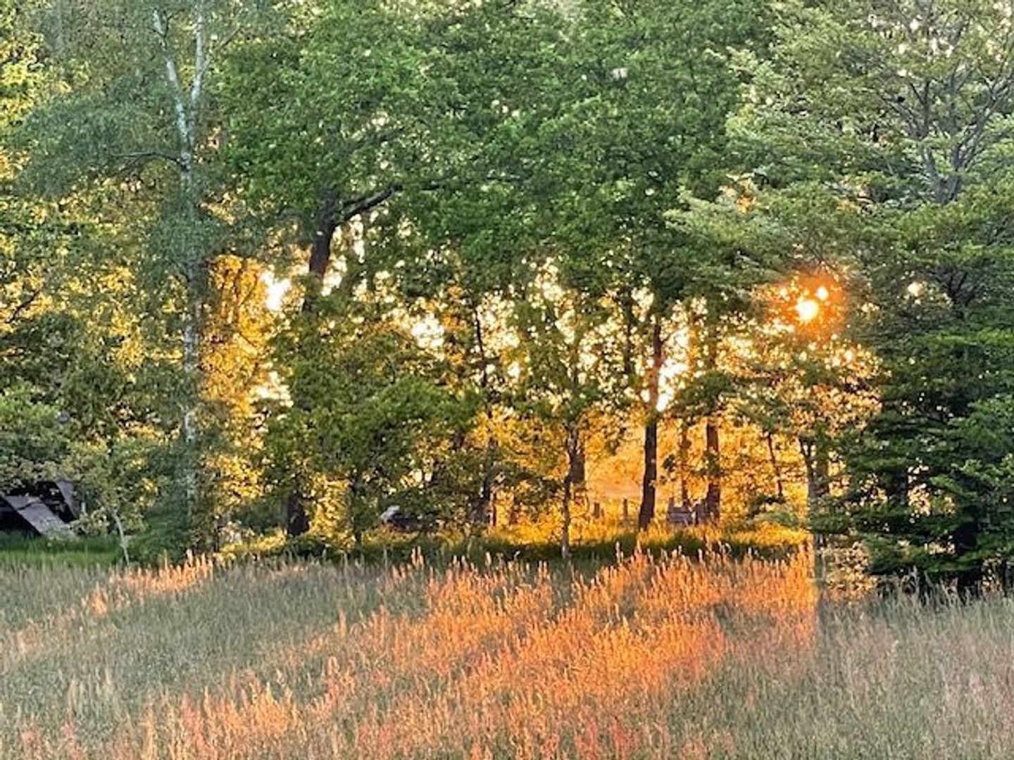 Dwingelerweg 25, Ansen foto-72