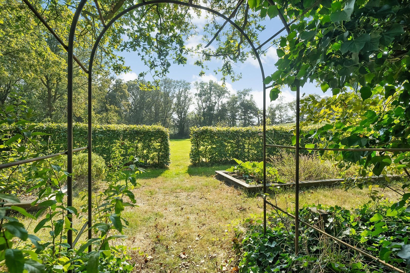 Dwingelerweg 25, Ansen foto-70