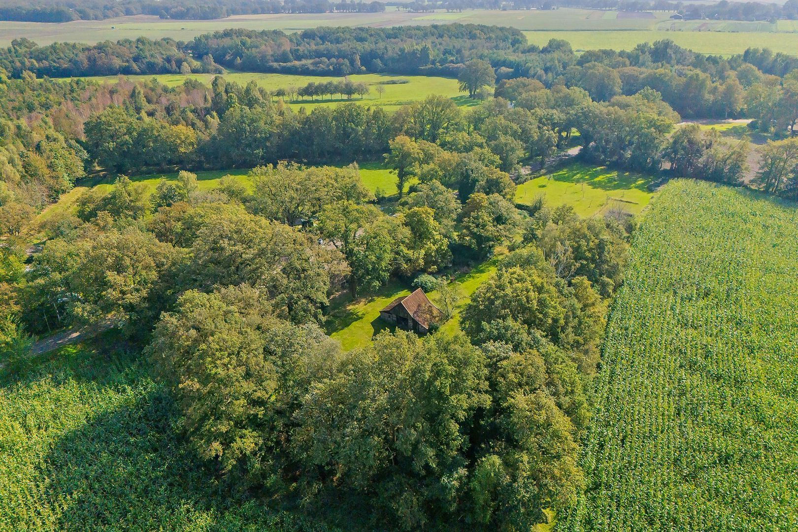 Dwingelerweg 25, Ansen foto-78