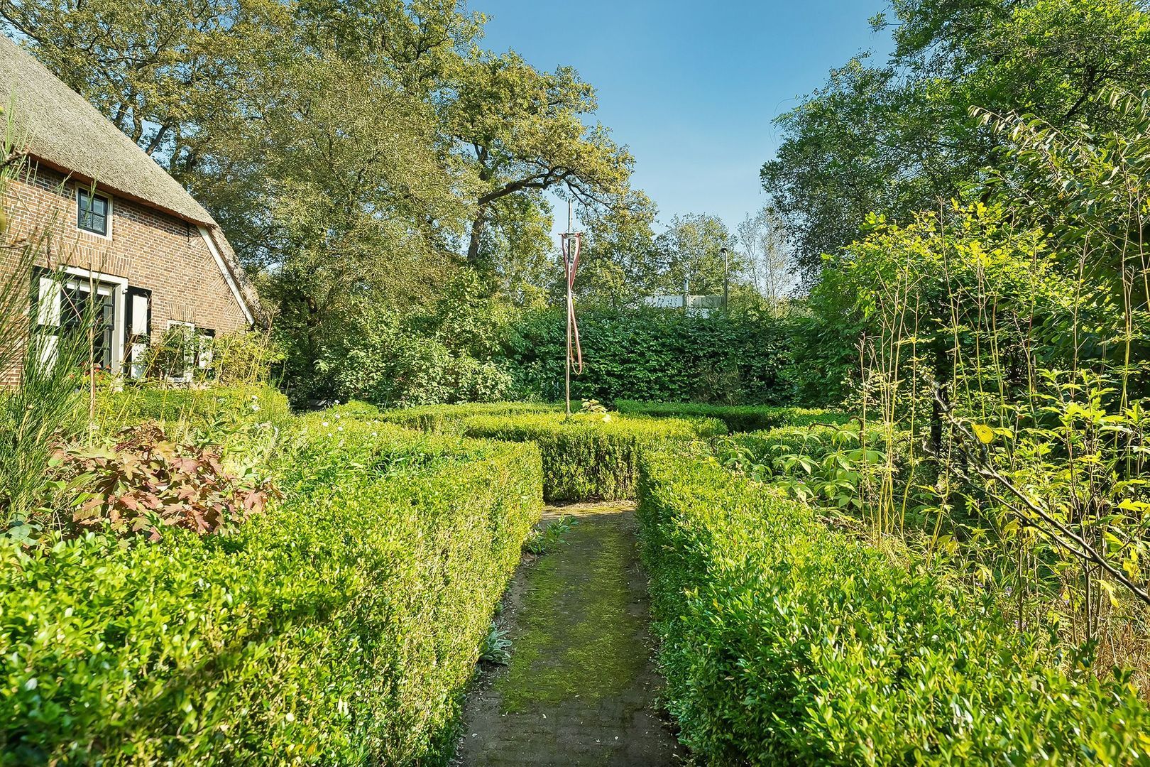 Dwingelerweg 25, Ansen foto-65