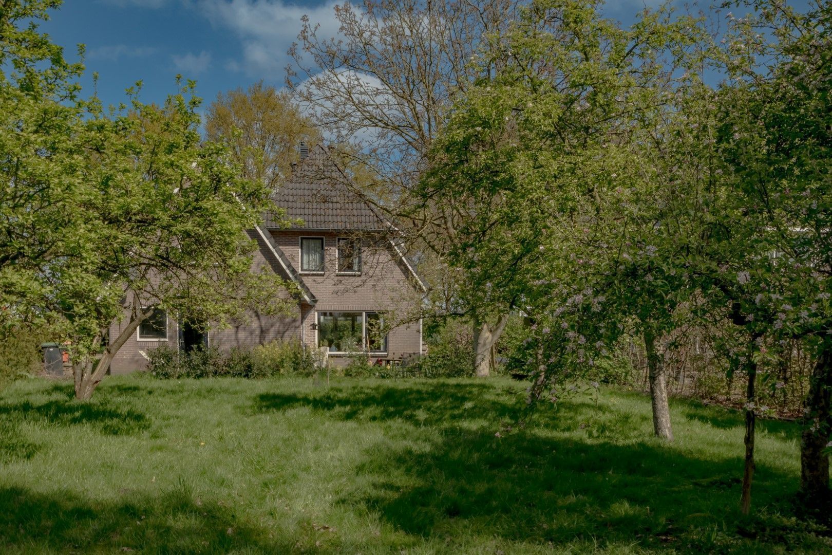 Eemster 85, Dwingeloo foto-11