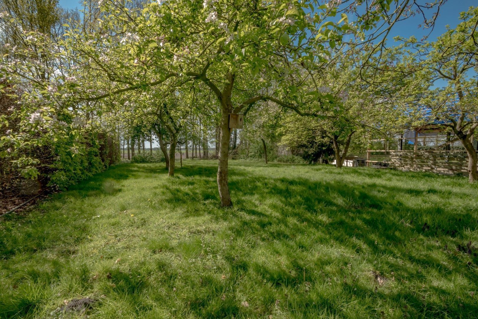 Eemster 85, Dwingeloo foto-4