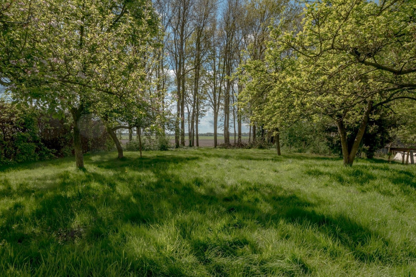 Eemster 85, Dwingeloo foto-16