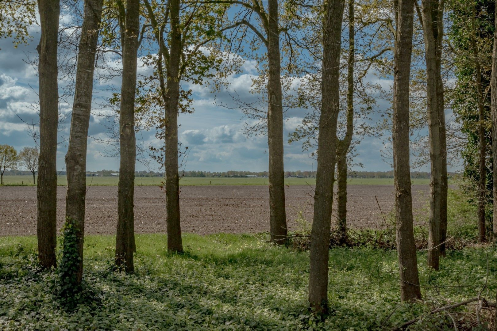 Eemster 85, Dwingeloo foto-10