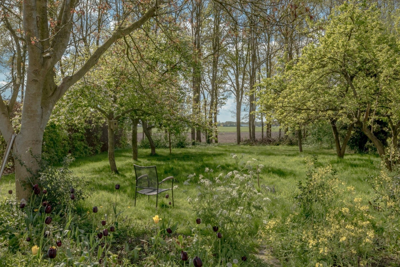 Eemster 85, Dwingeloo foto-8