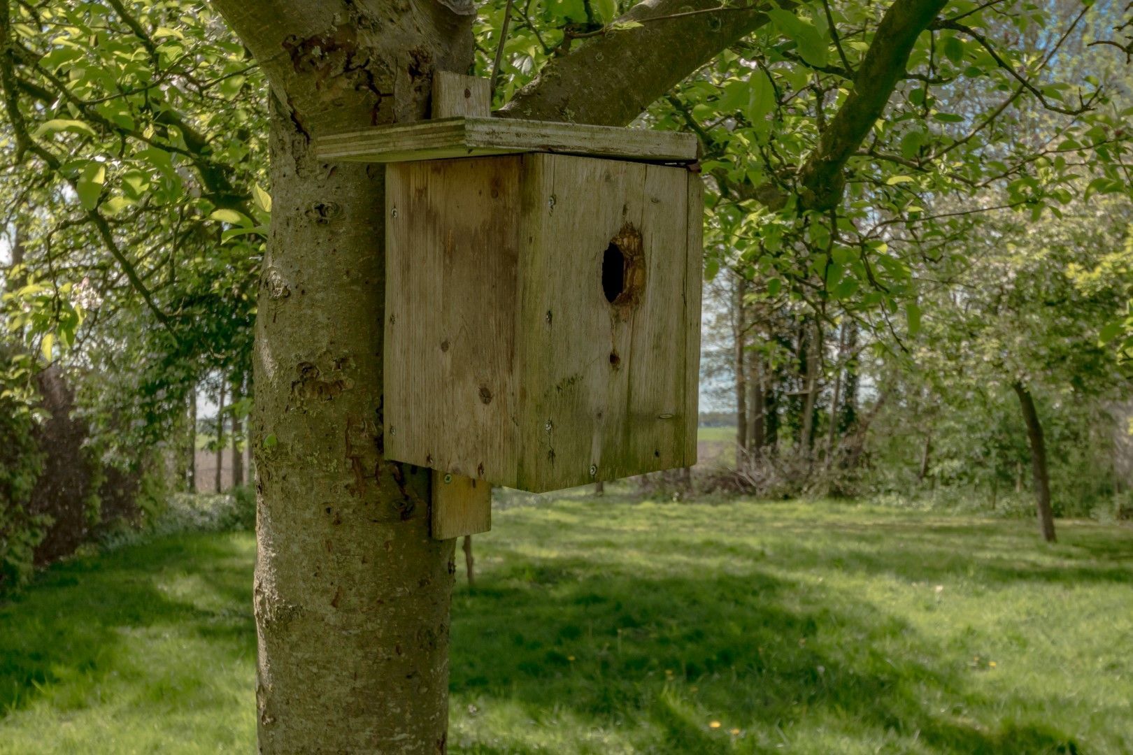 Eemster 85, Dwingeloo foto-15