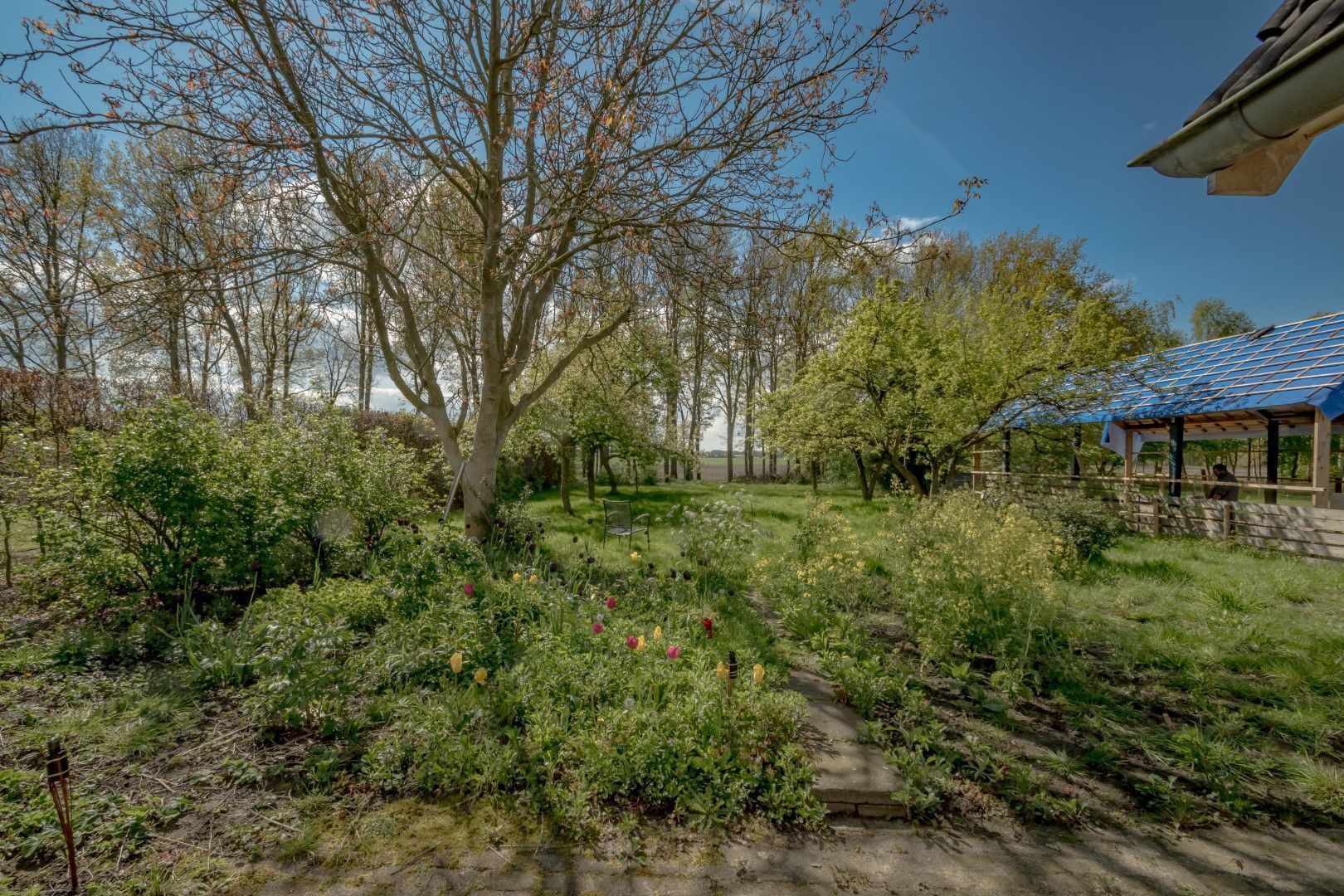 Eemster 85, Dwingeloo foto-9