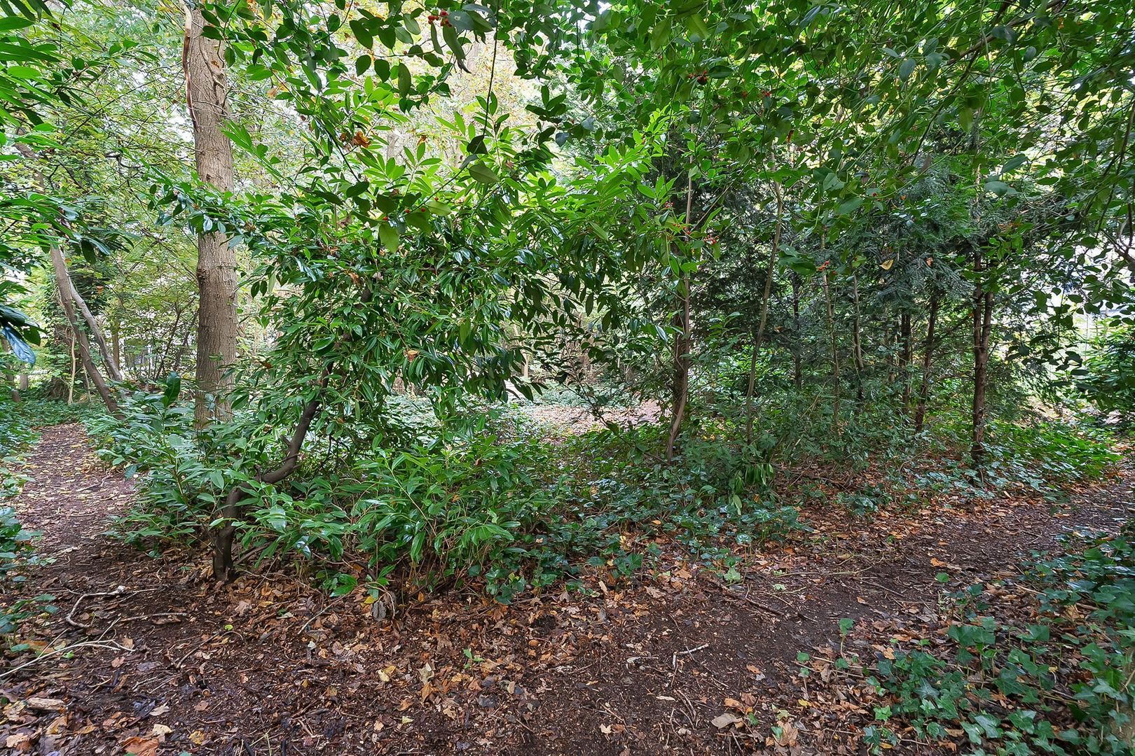 Van Osstraat 4 a, Diever foto-55