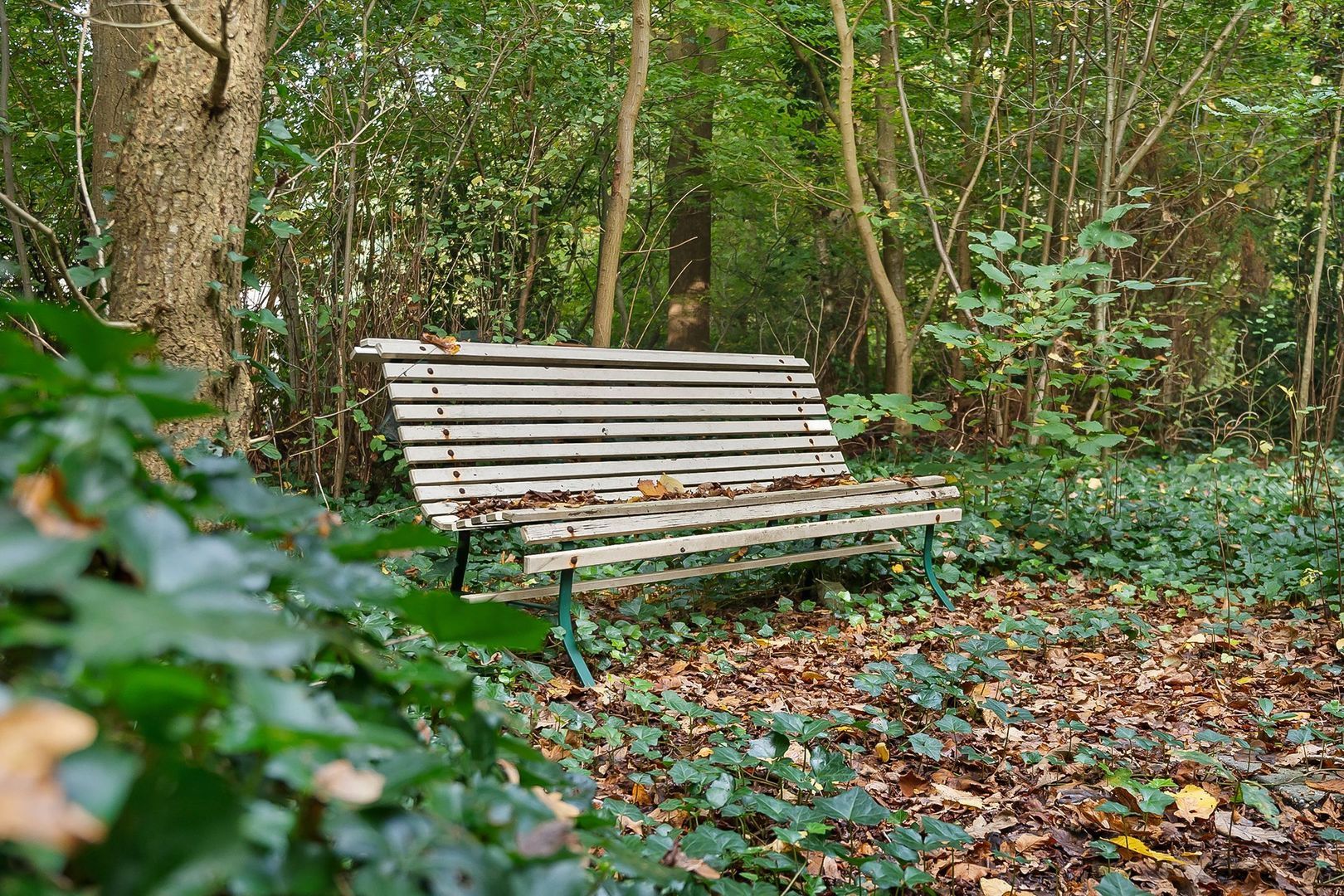 Van Osstraat 4 a, Diever foto-54