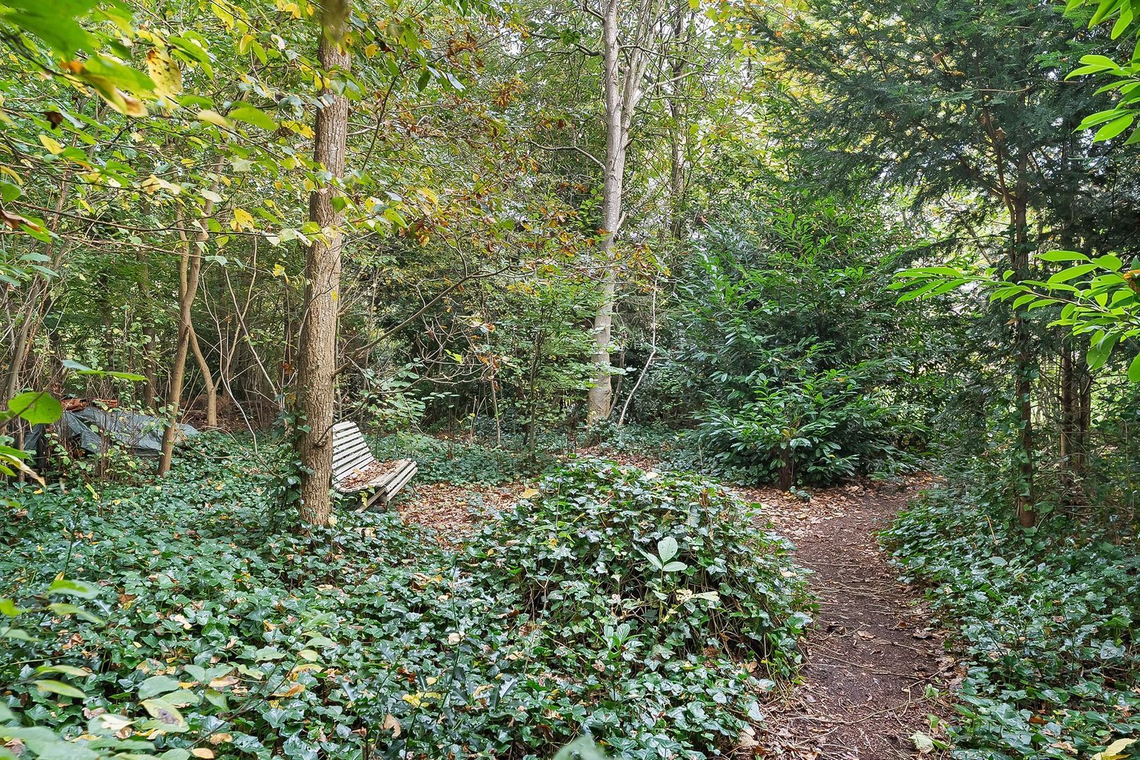 Van Osstraat 4 a, Diever foto-53