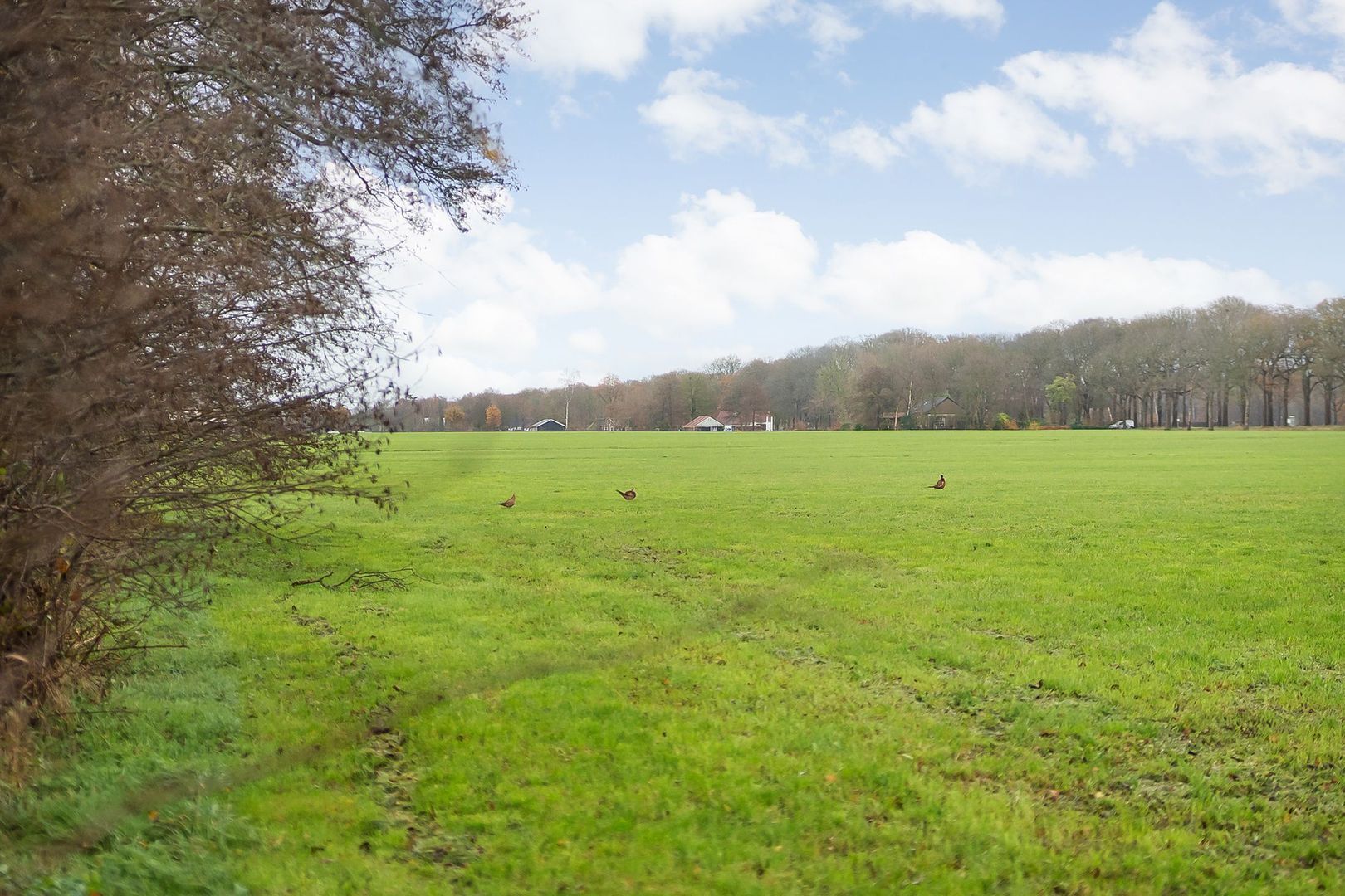 Puntersweg 3, Noordwolde foto-52