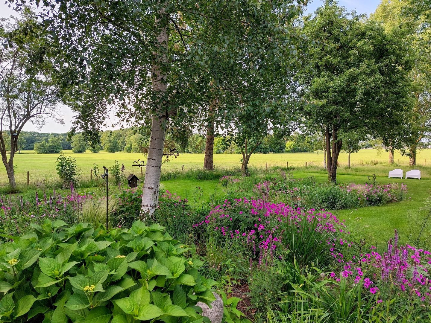 Puntersweg 3, Noordwolde foto-2