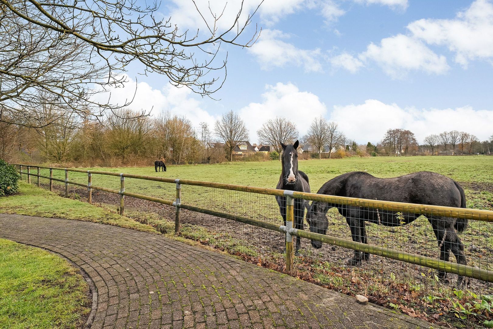 Vledderweg 15, Vledder foto-65
