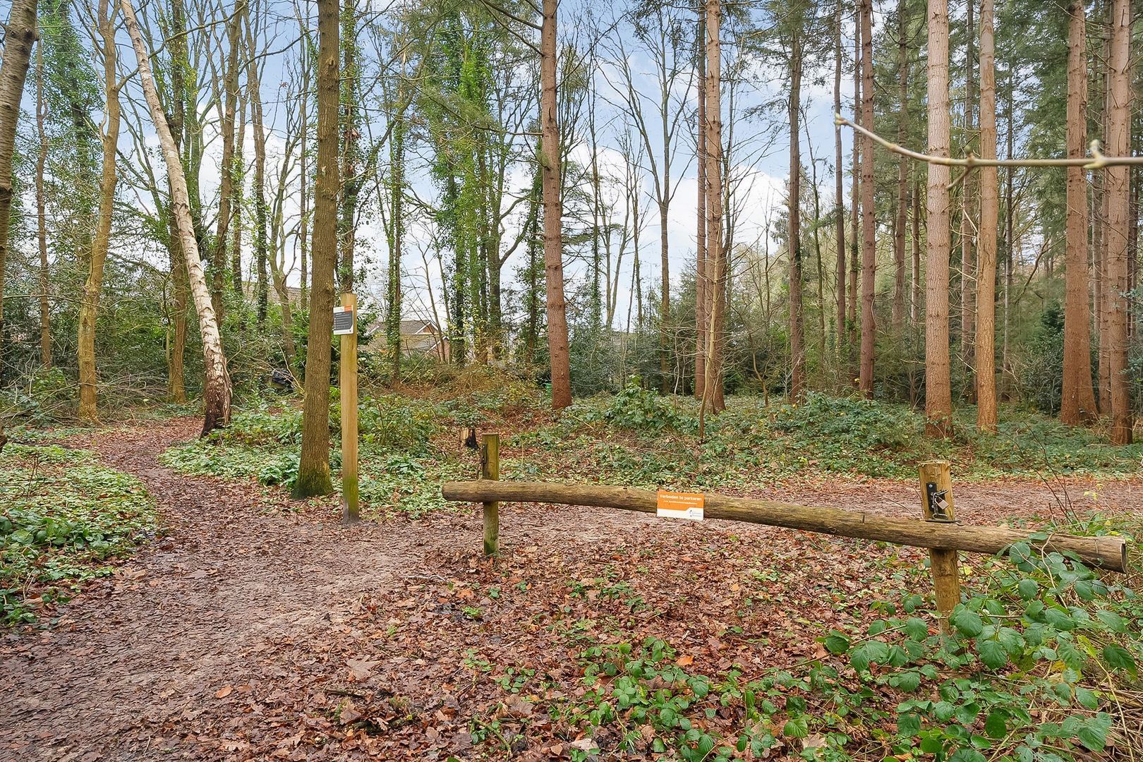 Bosbouwkamp 43, Vledder foto-49