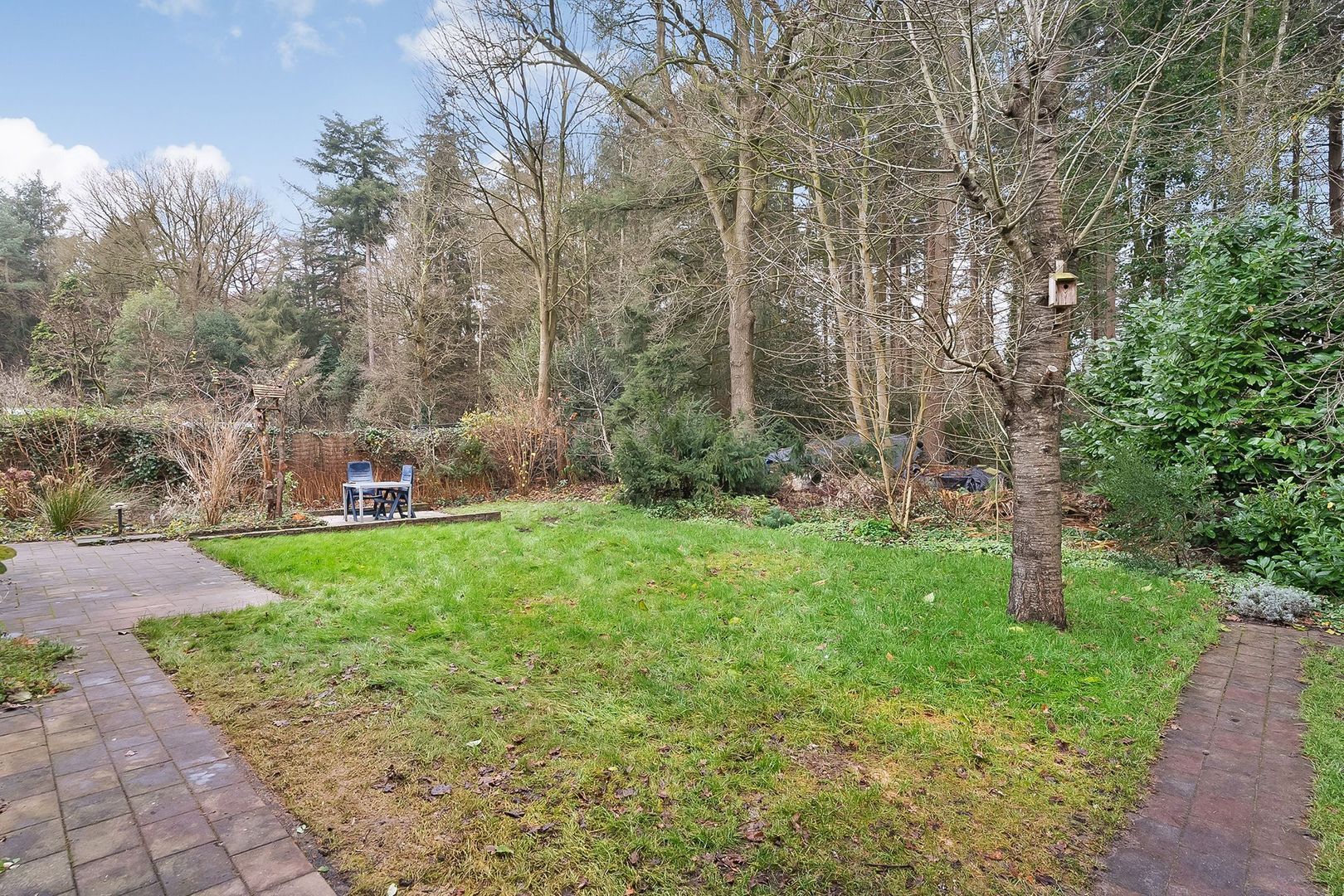 Bosbouwkamp 43, Vledder foto-2