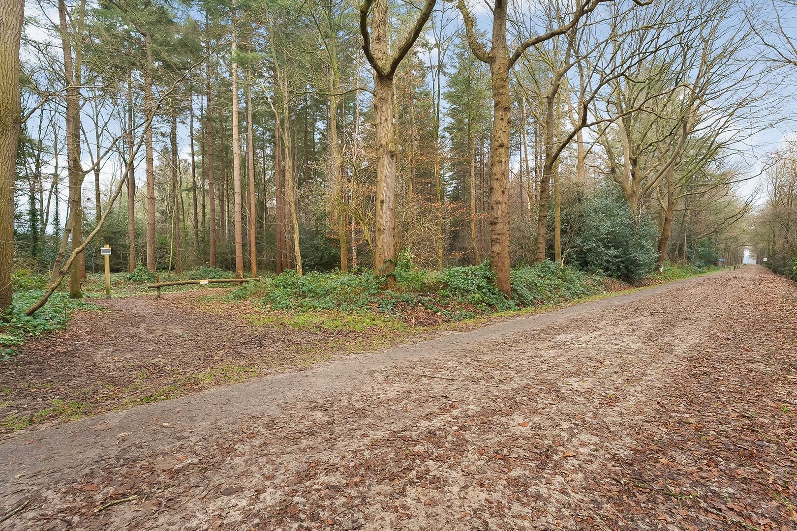 Bosbouwkamp 43, Vledder foto-50