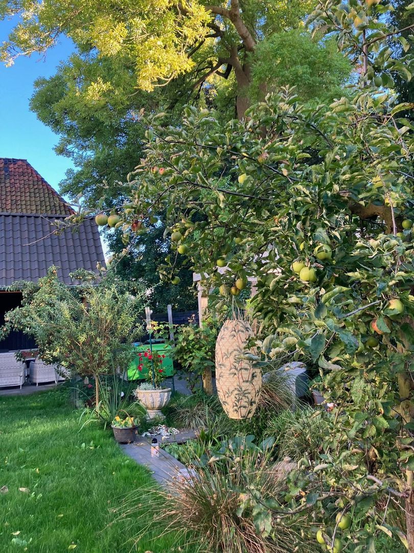 Onnastraat 12, Steenwijk foto-62