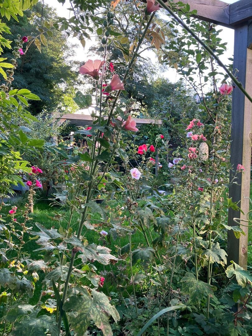 Onnastraat 12, Steenwijk foto-64