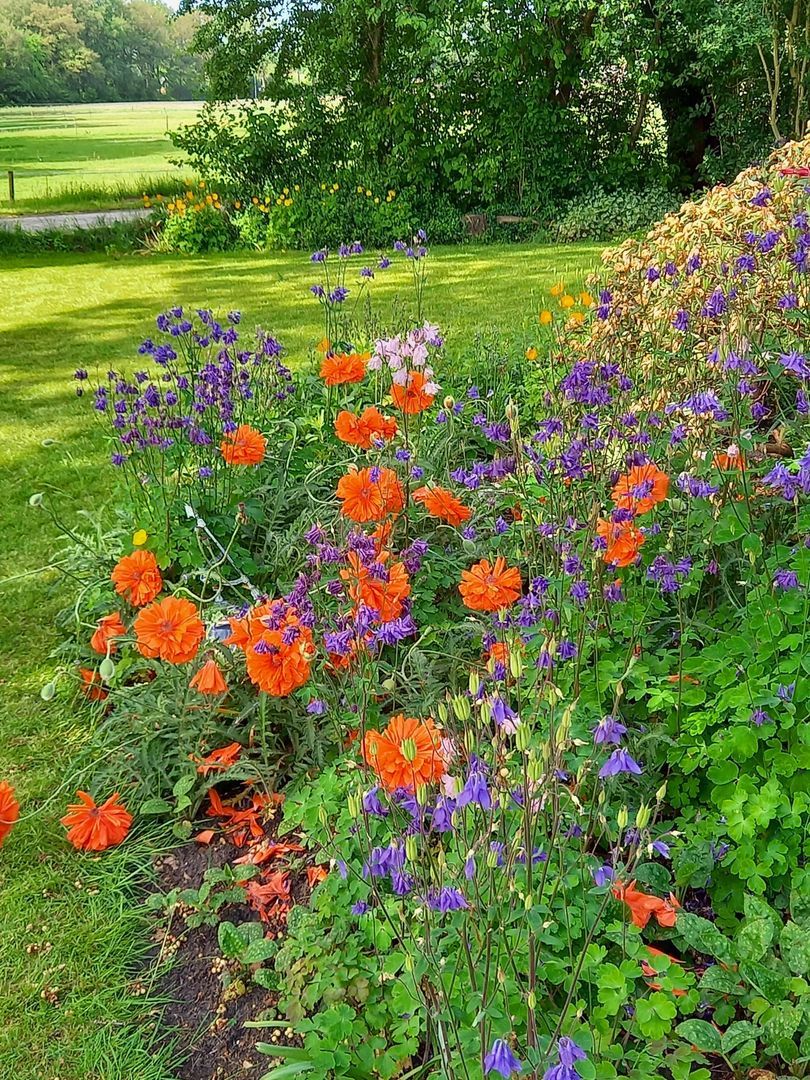 Oosteind 7, Vledder foto-56