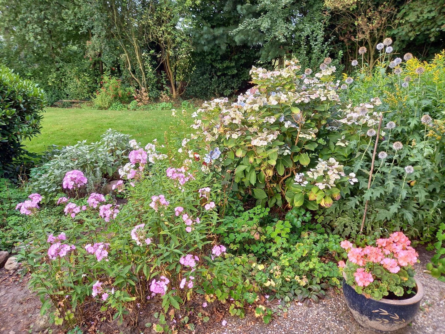 Oosteind 7, Vledder foto-58