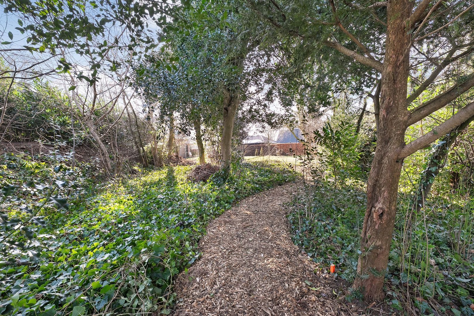 Esweg 4 f, Dwingeloo foto-60