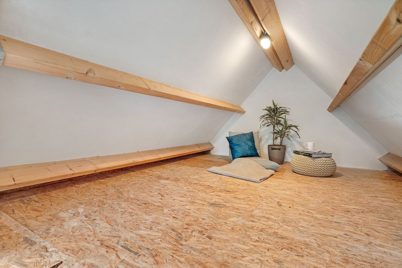 Esweg 4 f, Dwingeloo foto-50