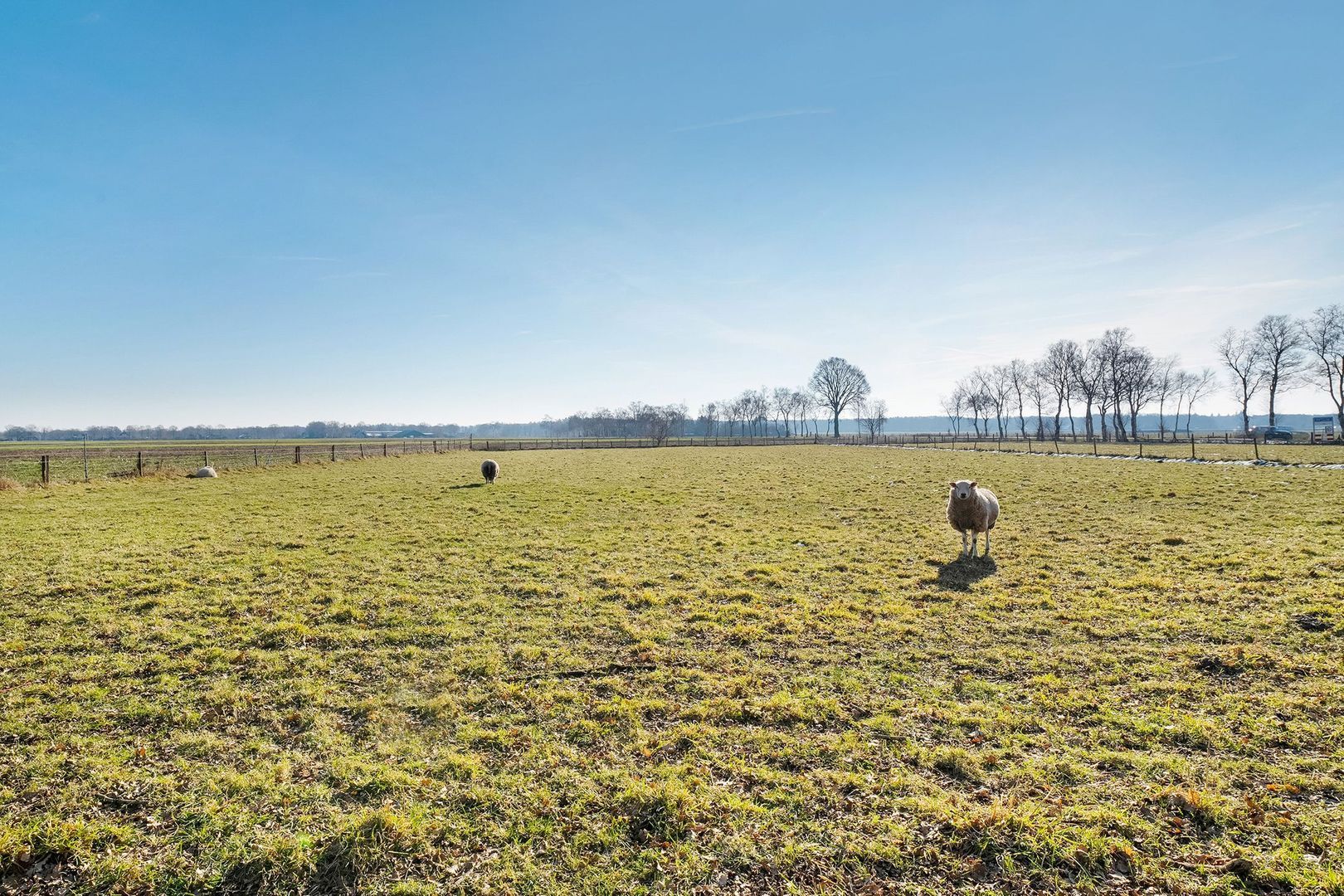 Esweg 4 f, Dwingeloo foto-61