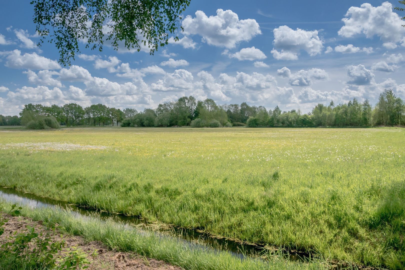 De Broeken 0 ong, Wittelte foto-0