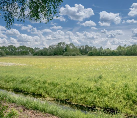 De Broeken 0 ong, Wittelte