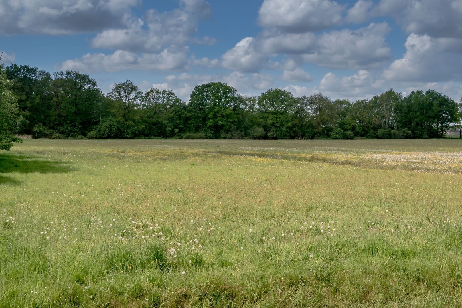 De Broeken 0 ong, Wittelte foto-10