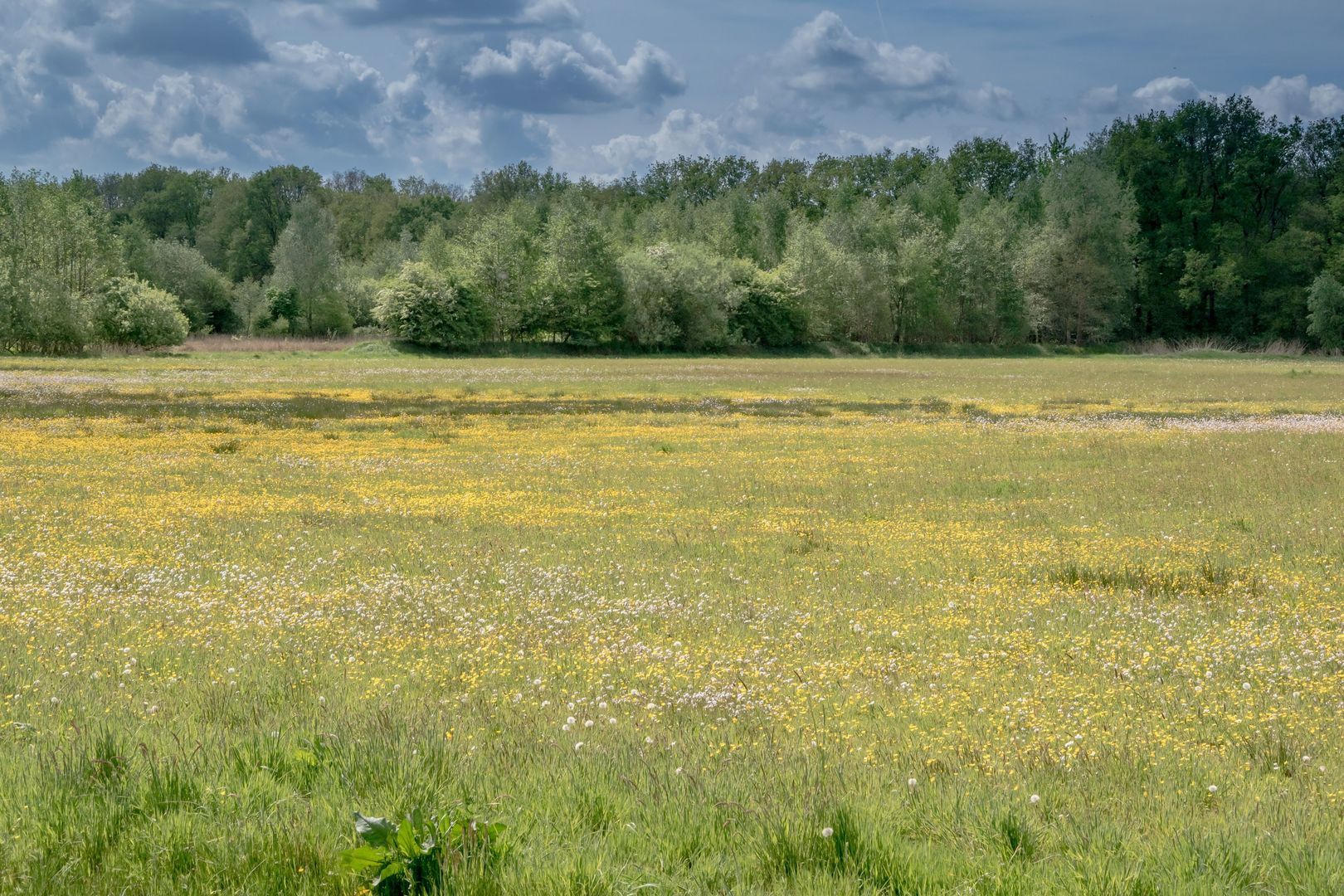 De Broeken 0 ong, Wittelte foto-2