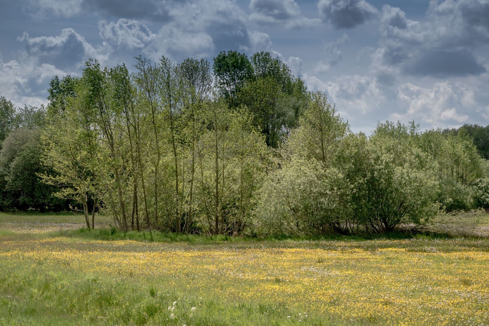 De Broeken 0 ong, Wittelte foto-9