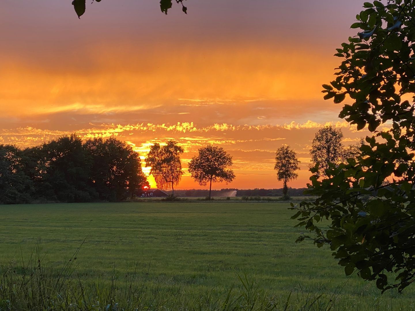 De Broeken 0 ong, Wittelte foto-11