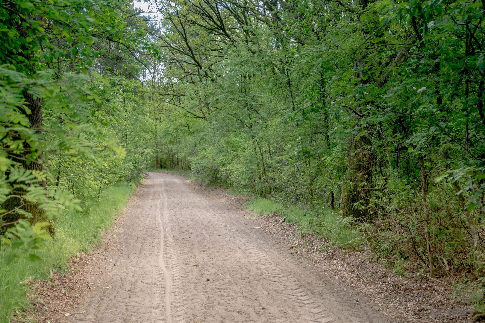 De Broeken 0 ong, Wittelte foto-8