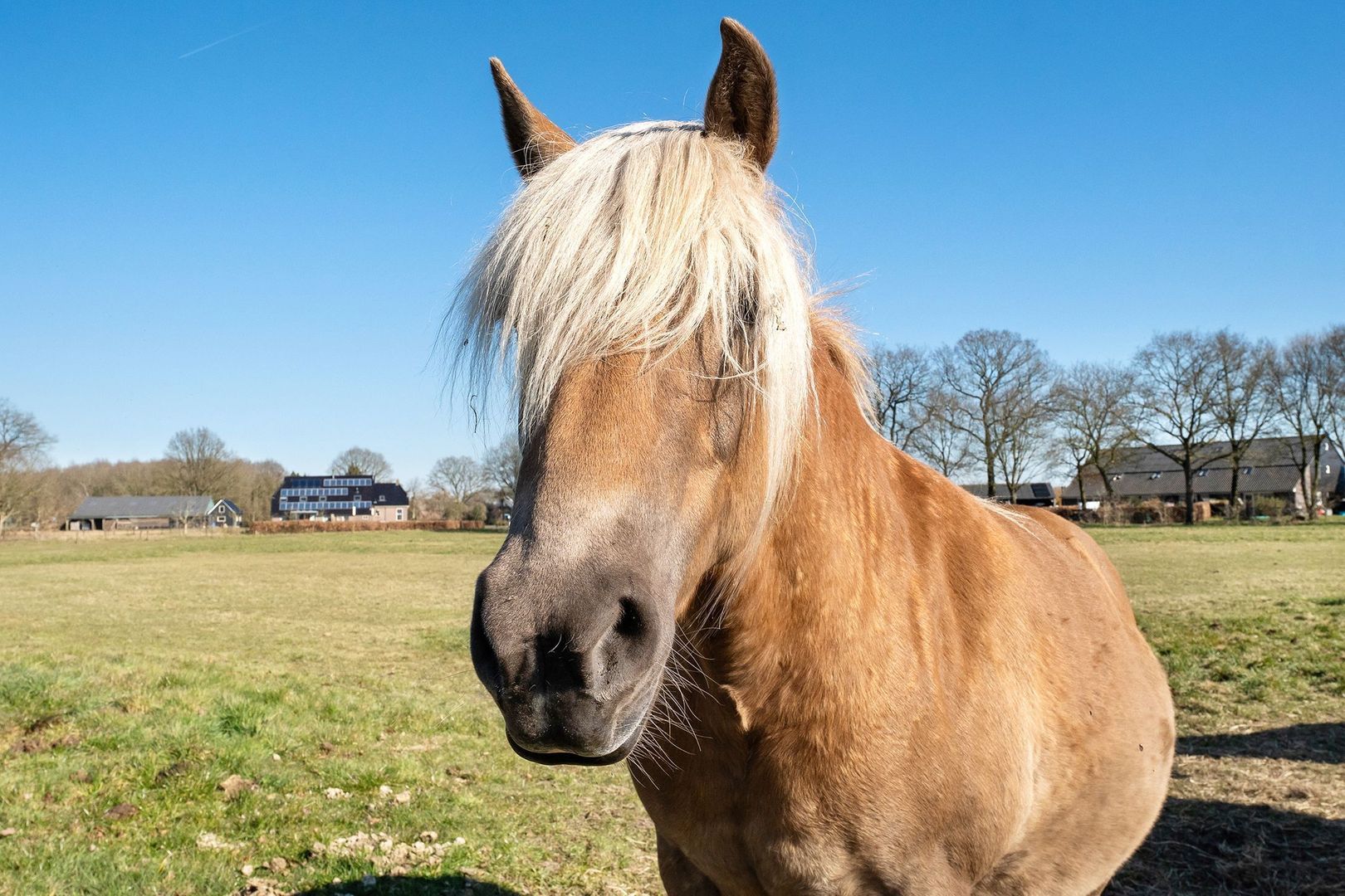 Landweg 2, Wapse foto-45